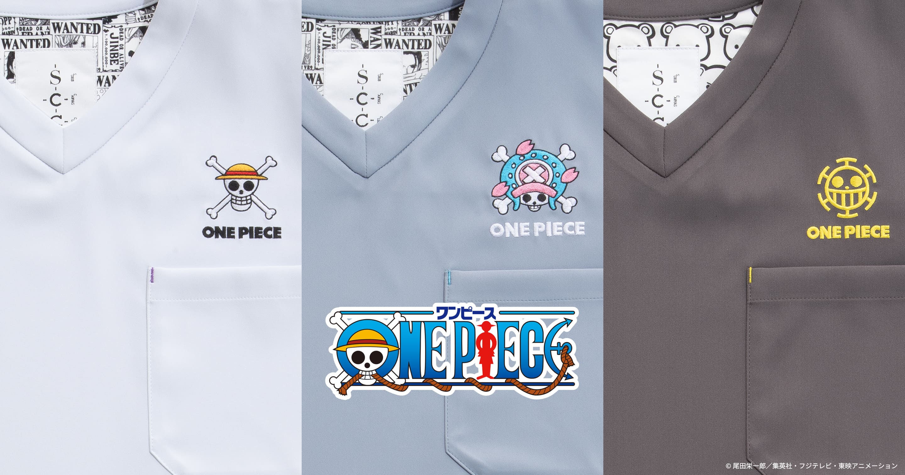 SCC | ONE PIECE